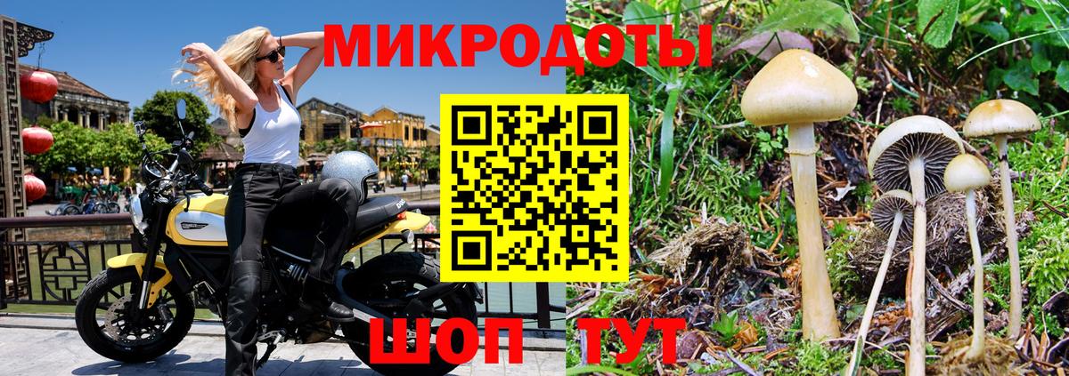 Галлюциногенные грибы Междуреченск
